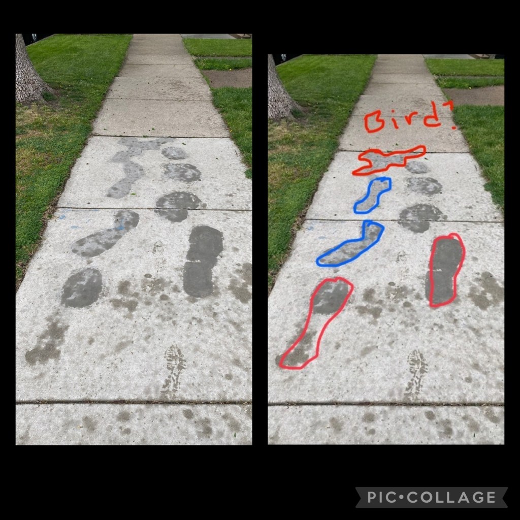 Writing…Where do ideas come&nbsp;from?