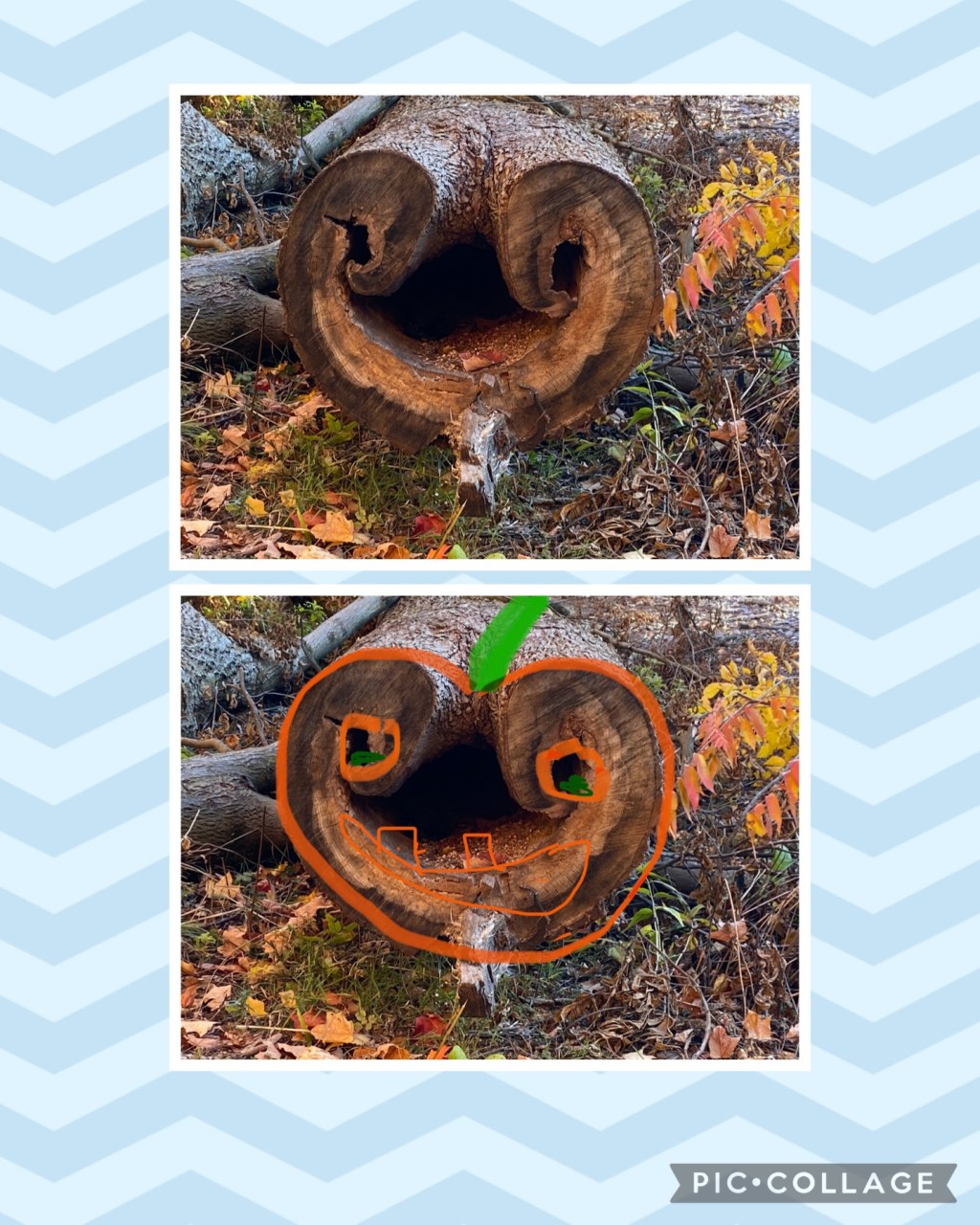 Hiking is full of&nbsp;surprises!