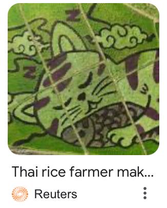 Thailand / Japan – Rice paddy&nbsp;art!