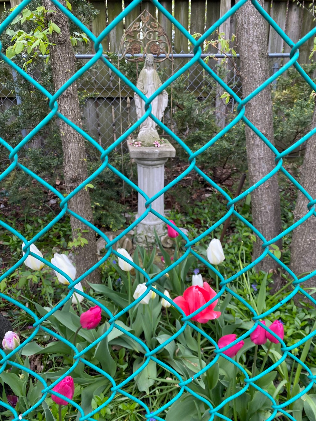 Exercise – When a walk brings inspiration!