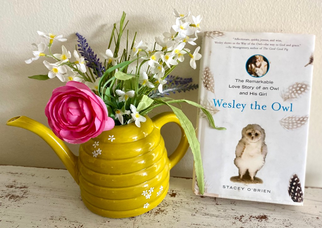 Summer reading, still time&nbsp;left…