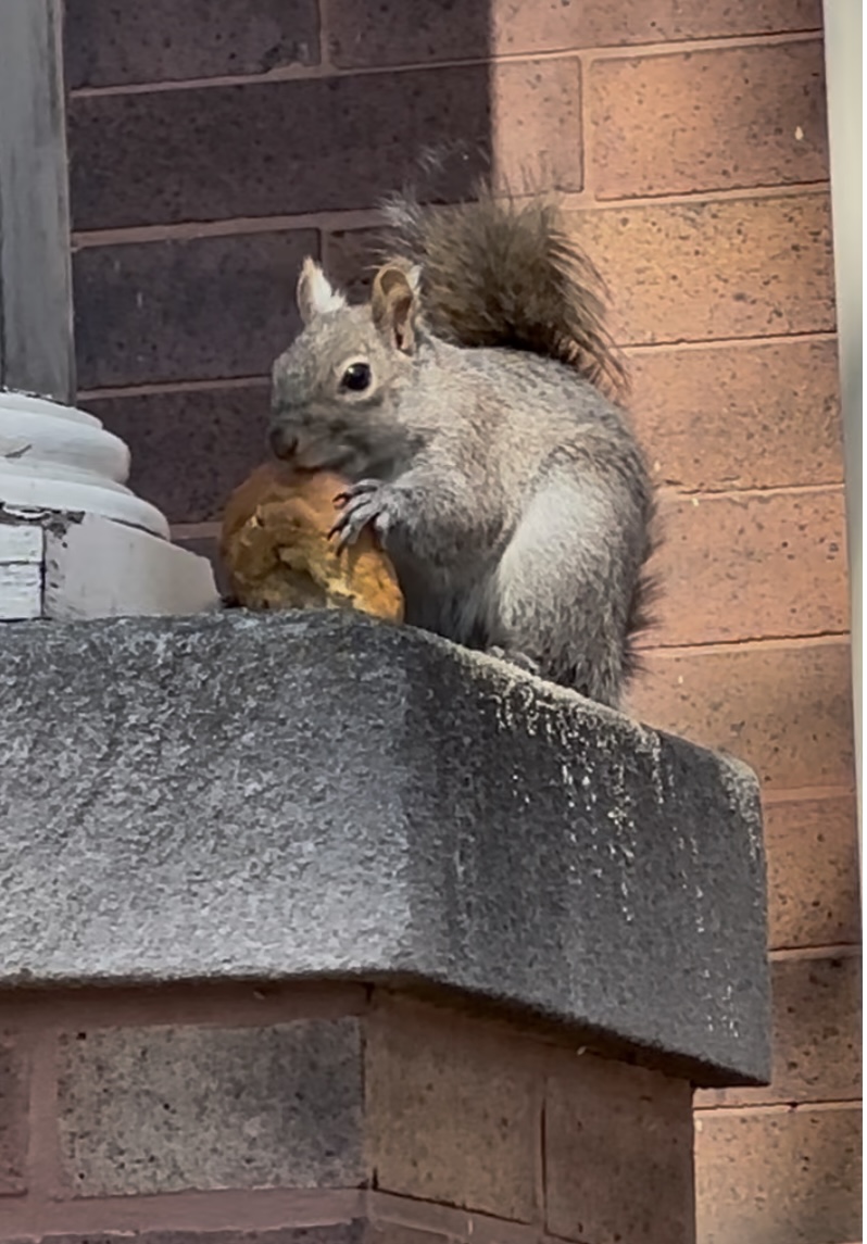 Exercise, rewards of walking!