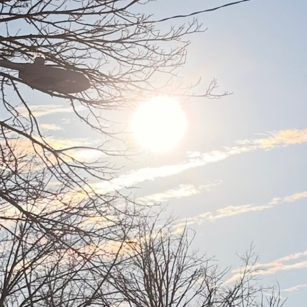 Winter Fitness… FINALLY, the sun, and walking&nbsp;again!