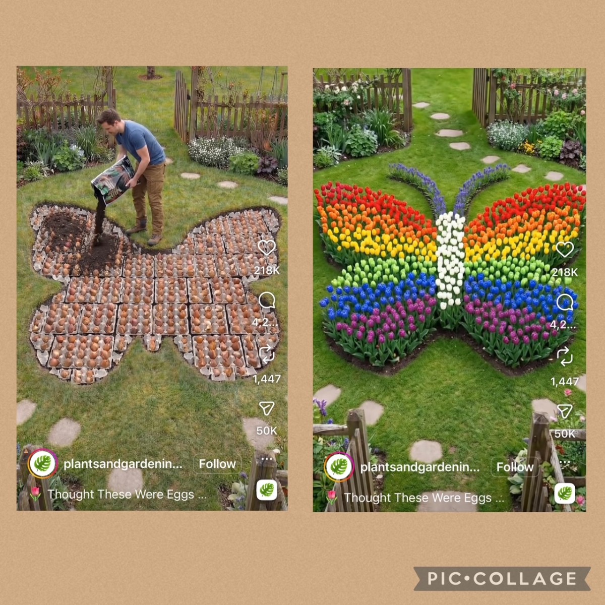 Tulips – Create your own butterfly, looks&nbsp;easy…