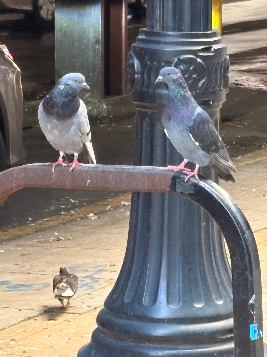 Photography – Felt like eavesdropping!